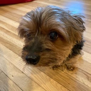 Meet your Posher, Karessa